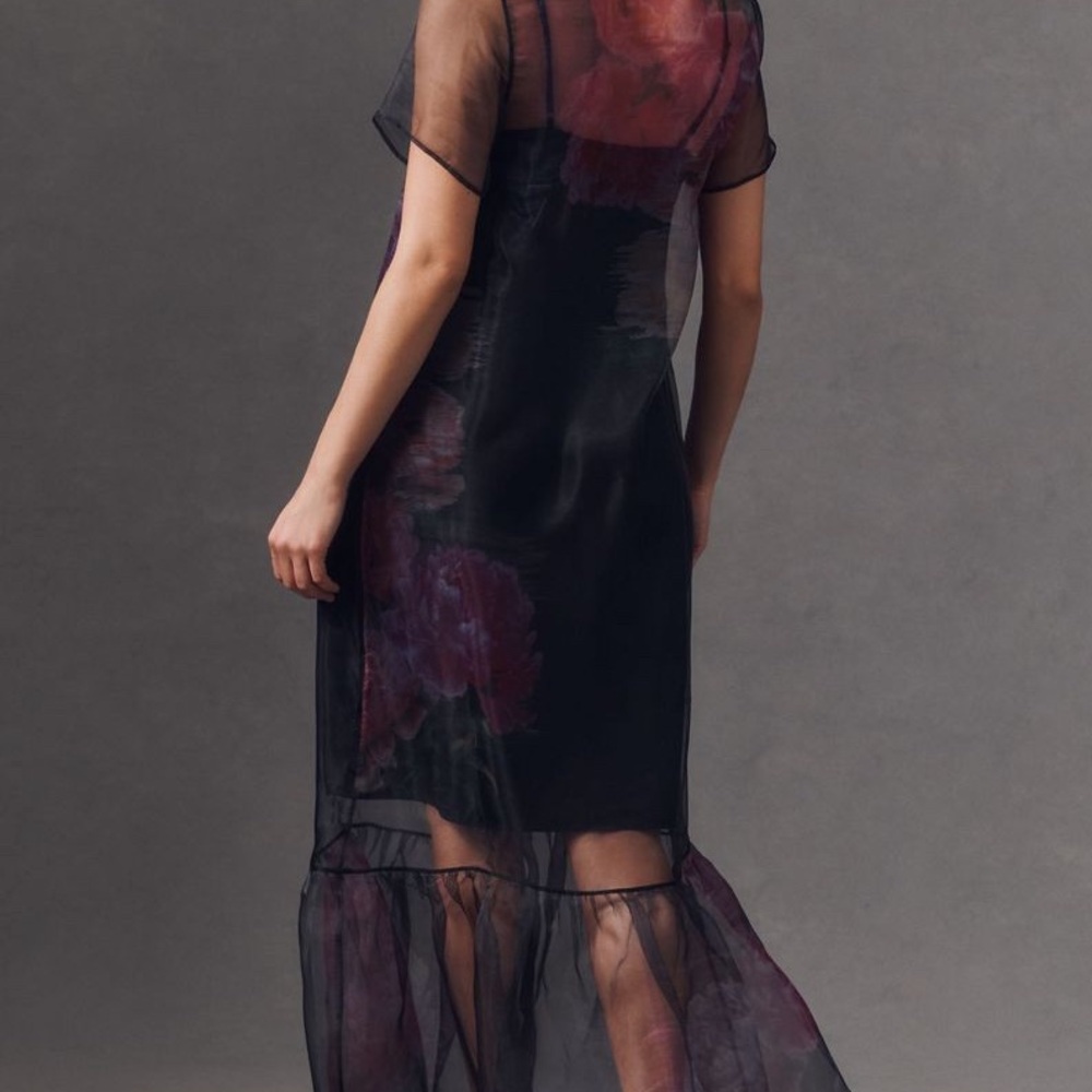 BHLDN Carina Short-Sleeve Organza Dress - Picture 3 of 7